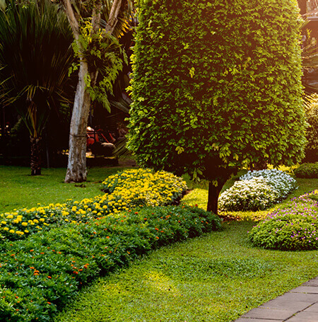 Ivy Terra Lawn Care